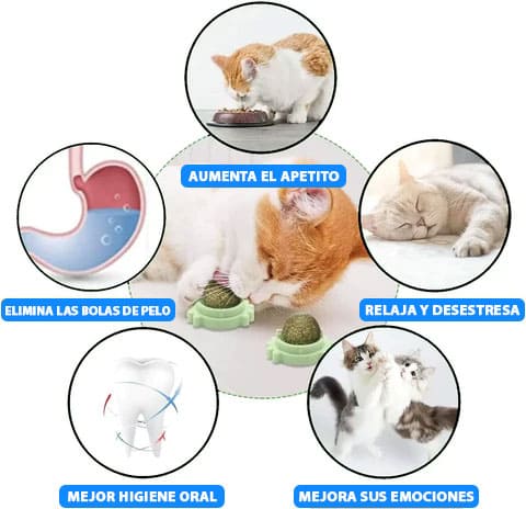 CATNIP BALL - Juguete Para Gato