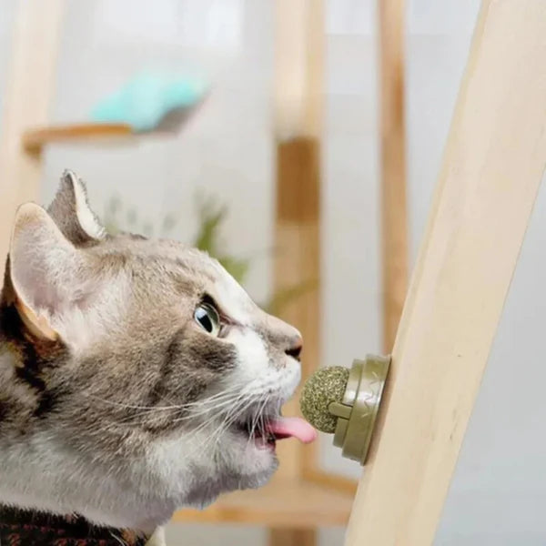 CATNIP BALL - Juguete Para Gato